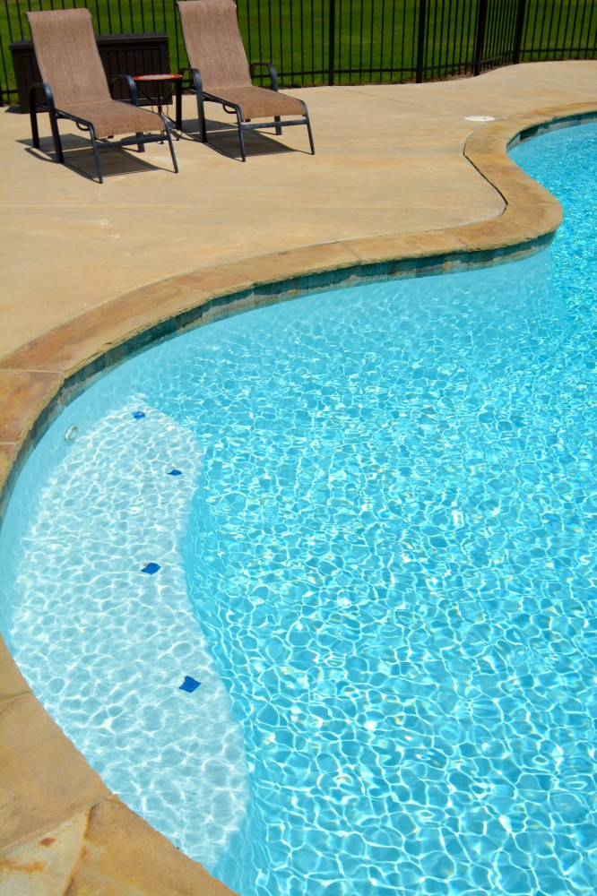 Photo By Parrot Bay Pools. Miller Project