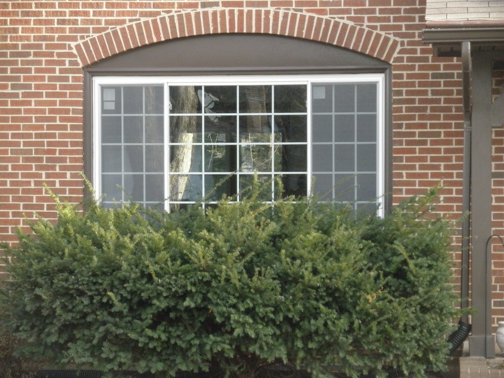 Photo By Home Visions Inc.. Replacement Windows