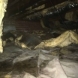 Photo by Carolina Water Damage Restoration. Crawlspace Water Damage Restoration in  - thumbnail