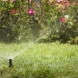 Photo by Green Valley Irrigation Ltd.. Green Valley Irrigation Ltd. - thumbnail