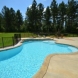Photo by Parrot Bay Pools. Miller Project - thumbnail