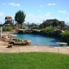 Photo by Gold Medal Pools & Outdoor Living. Free Form Pools - thumbnail