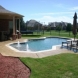 Photo by Gold Medal Pools & Outdoor Living. Straight Line Pools - thumbnail