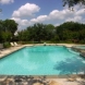 Photo by Gold Medal Pools & Outdoor Living. Straight Line Pools - thumbnail