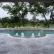 Photo by Gold Medal Pools & Outdoor Living. Straight Line Pools - thumbnail