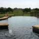 Photo by Gold Medal Pools & Outdoor Living. Water Features - thumbnail